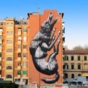 Roa x Avanguardie Urbane Roma Street Art Festival 2014