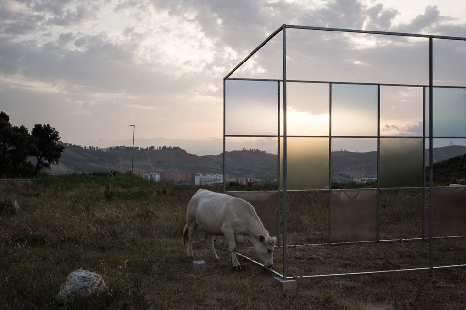 “Tre colli”  Beautiful intallation by Alberonero in Catanzaro, Italy