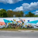 Ruben Ubiera x Grove Street Neighbourhood and Sea Walls (FL)